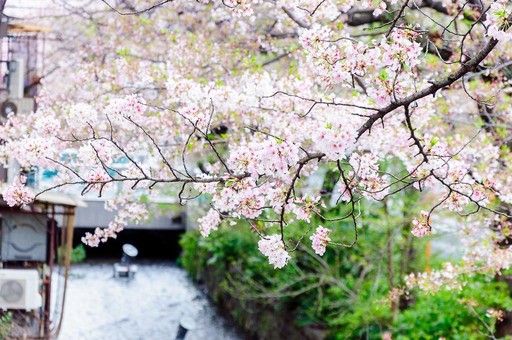 Vila Kumomachiya Takasegawa Kjóto Exteriér fotografie