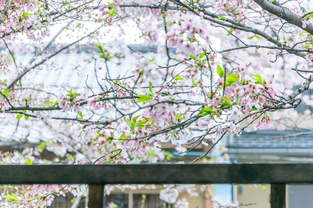 Vila Kumomachiya Takasegawa Kjóto Exteriér fotografie