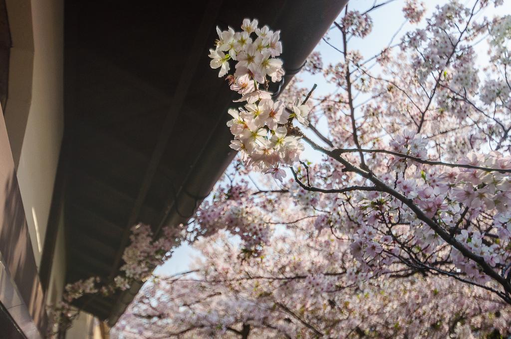 Vila Kumomachiya Takasegawa Kjóto Exteriér fotografie
